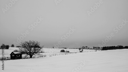 Old Shack in the Snow