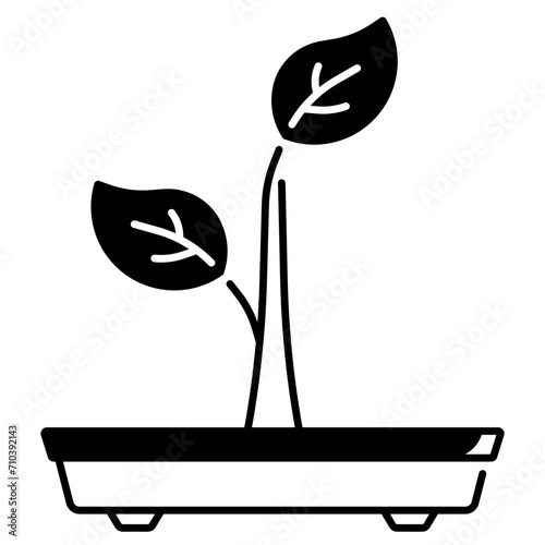Seedling Icon