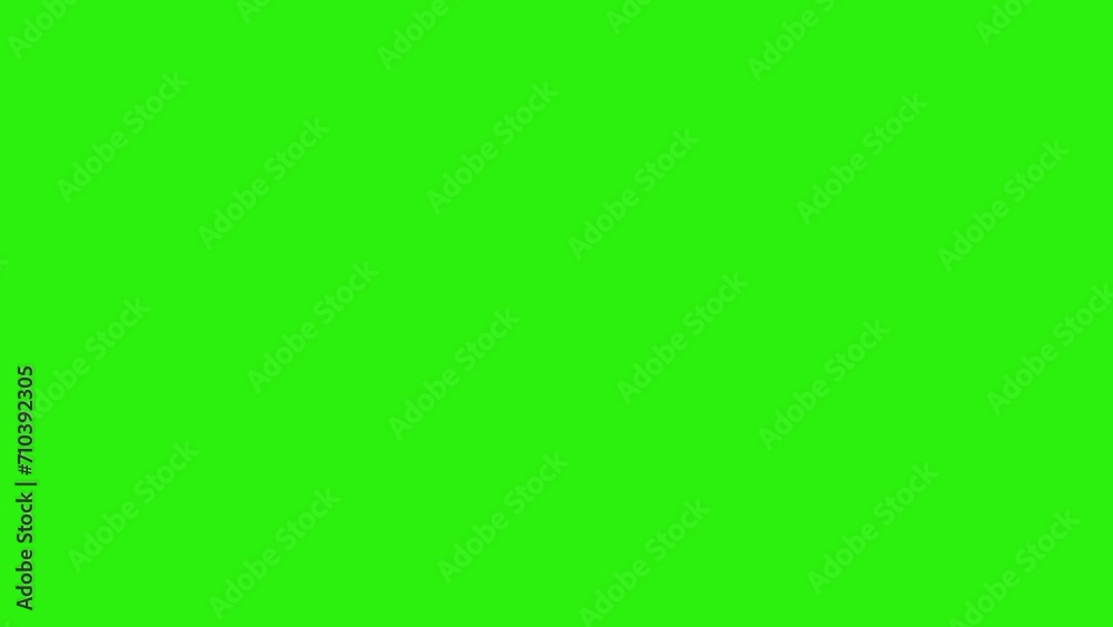 Animation of flowers on green screen, graphic source element Animation of flowers on green screen, graphic source element