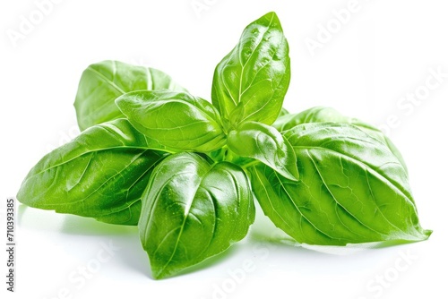 Fresh green basil leaves, isolated on a white background