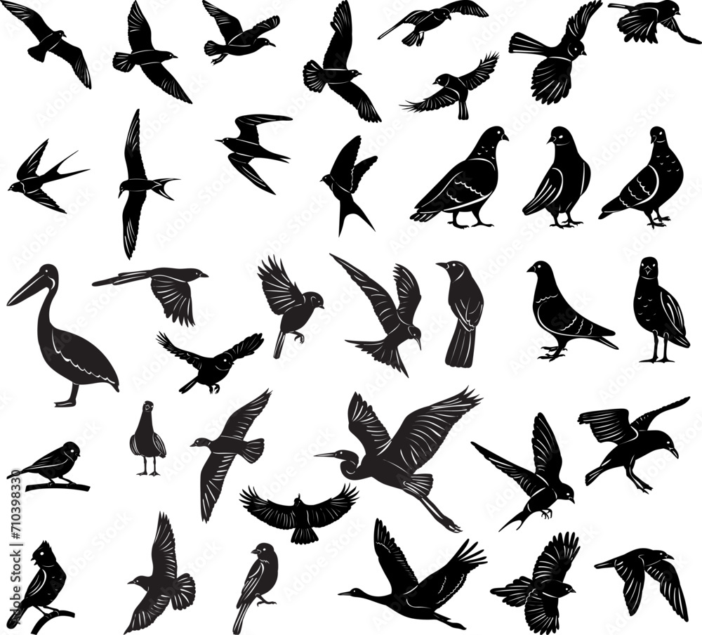 collection of birds silhouettes on white background vector collection of birds silhouettes on white background vector