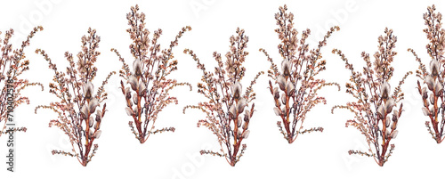 Seamless rim watercolor willow and dried wild flower wormwood on white background. Hand-drawn brown branch herb for decor. Botanical antique illustration for wallpaper or wrapping. Art border
