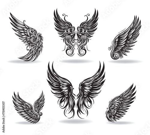 Collection of vector wings the style of engraving