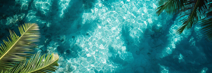 
Shadows of tropical leaves on the crystal clear surface of azure blue water, view from above. Abstract banner concept background for summer beach weekend