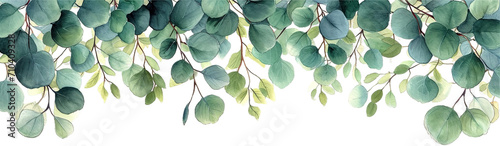 Foto Lush green eucalyptus branch extending across a isolated on transparent or white