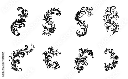 Flourish Design, Baroque Ornament Set, Black Silhouette Vector Logo Element photo