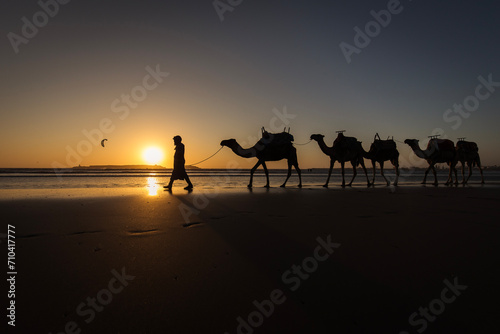 Silhouette of camel caravan on the beach with reflection at sunset in background. Essaouira, Morocco