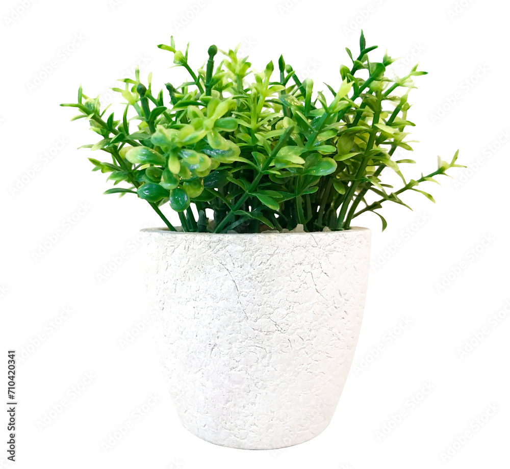Artificial green plants in white pots Artificial green plants in white pots