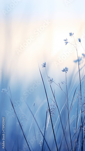high narrow winter background  blurred in the field  dry blades of grass covered with frost  nature