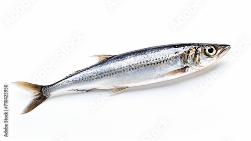 anchovy isolated on the background, fresh fish