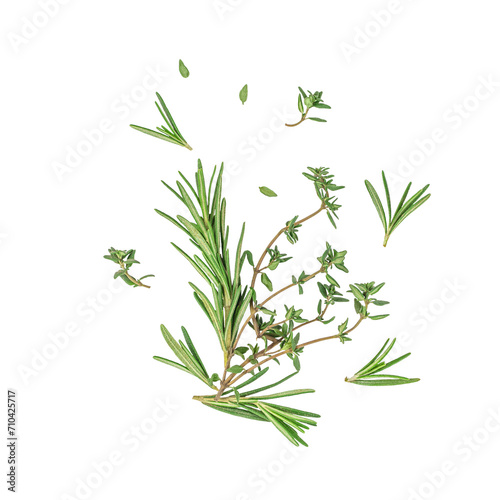 Fresh organic rosemary and thyme Mediterranean herbs isolated on white background