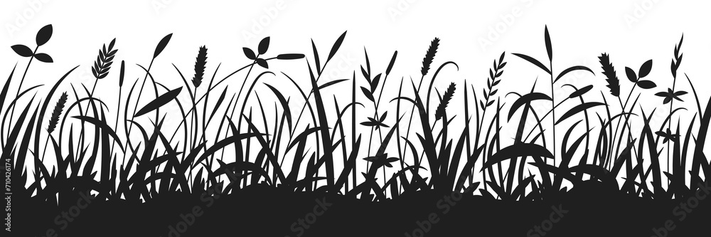 Drawn wild grass isolated on white background, vector design - obrazy, fototapety, plakaty 