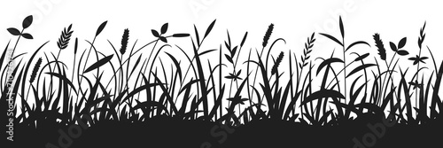 Vászonkép Drawn wild grass isolated on white background, vector design