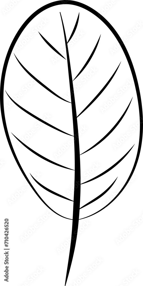 Hand drawn leaf illustration on transparent background.
Hand drawn leaf illustration on transparent background.