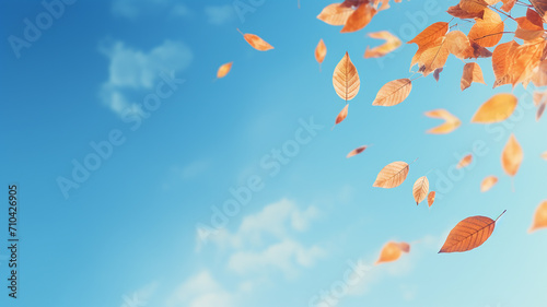 autumn leaf fall  falling leaves on the background of a light blue autumn sky  yellow and red leaves flying from the sky  view up