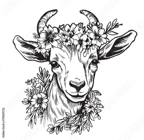 Cartoon baby goat