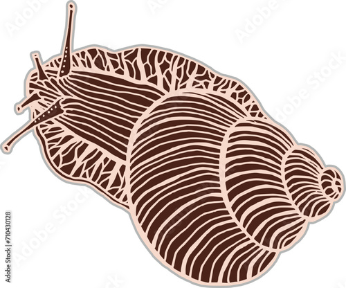 Autumn Snail Line Art Drawing