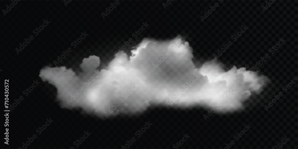 Vector cloud on a transparent background, smoke. Gradient mesh. Vector cloud on a transparent background, smoke. Gradient mesh.