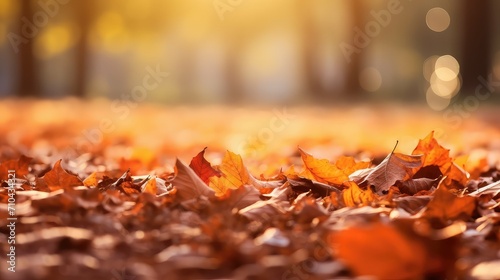 fall leaves autumn background illustration orange yellow, brown seasonal, trees forest fall leaves autumn background