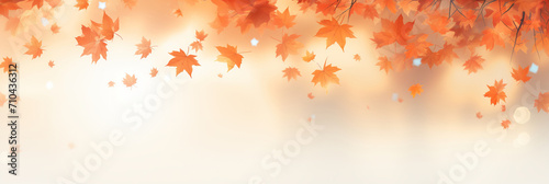 Flying fall maple leaves on autumn background. Falling leaves, seasonal banner with autumn leaf fall.