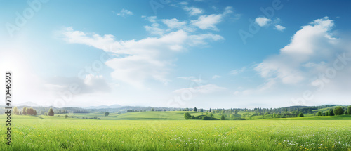 Ultra-wide tranquil meadow, serene beauty of spring, bathed in the warmth of sunlight, copy space
