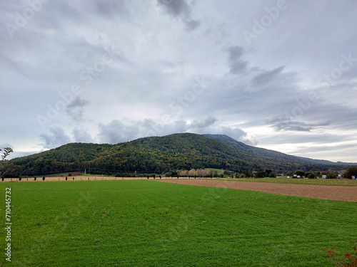 forest on Pohorje Mountains. Slovenia. Autumn. Overcast. photo