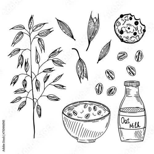 Set of oats. Oatmeal, cookies, milk, grains, plants. Vector illustration