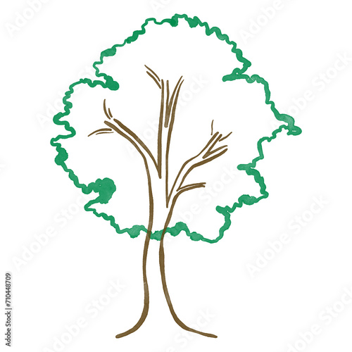 Abstract tree watercolor vector illustration, Minimal style tree painting hand drawn, Side view, set of graphics trees elements drawing for architecture and landscape design.
