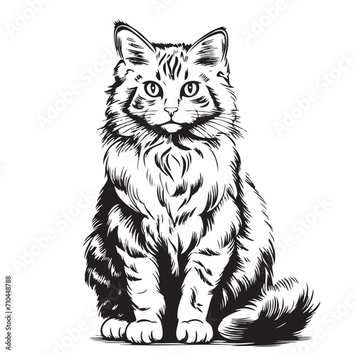 Fluffy cat sketch hand drawn Vector illustration