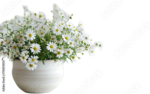 Minimalist Pot on White on a transparent background