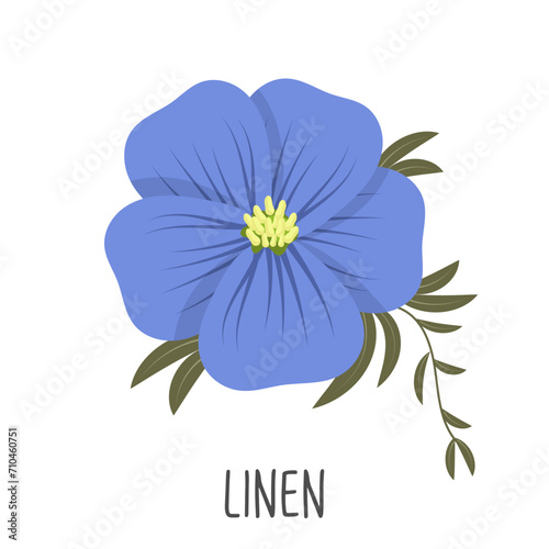 Blue flax flower on a white background. Linen color. Illustration, vector