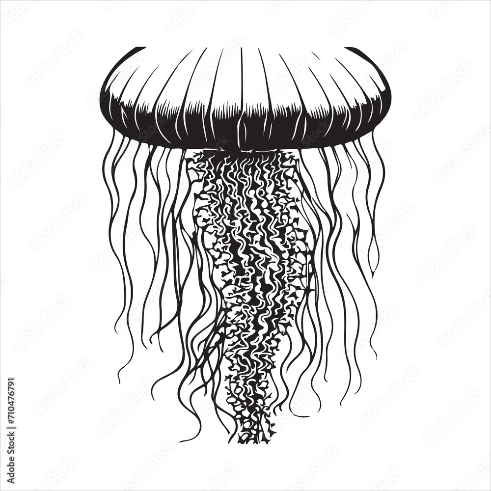 Fototapeta premium jellyfish illustration
