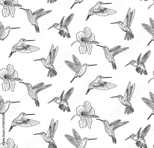hand drawn doodle style pattern of colibri