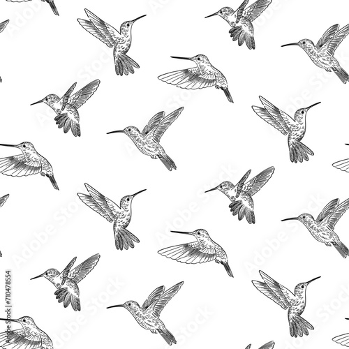 hand drawn doodle style pattern of colibri