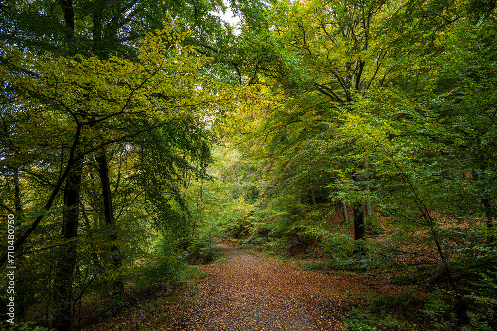 Wanderweg im Deilbachtal bei Velbert