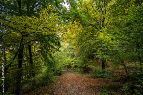 Wanderweg im Deilbachtal bei Velbert