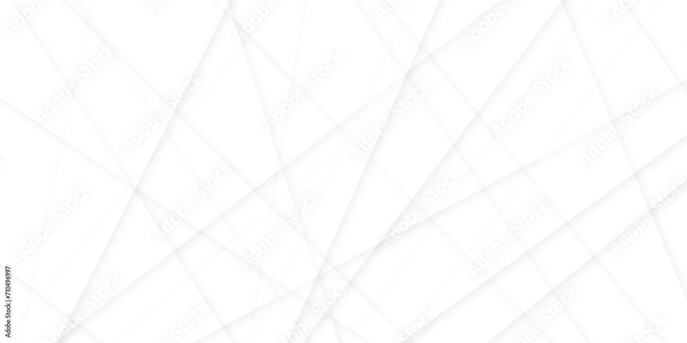 Abstract grey and white line geometric corporate design and white background. nervures de Feuillet mores, fond rectangle and geometric - obrazy, fototapety, plakaty 