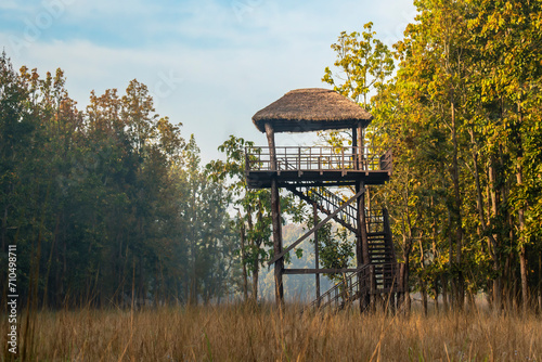 wooden watchtower for forest guards and park rangers for monitoring and save wild animals illegal activities trees cutting poachers threat in pilibhit national park tiger reserve uttar pradesh india photo