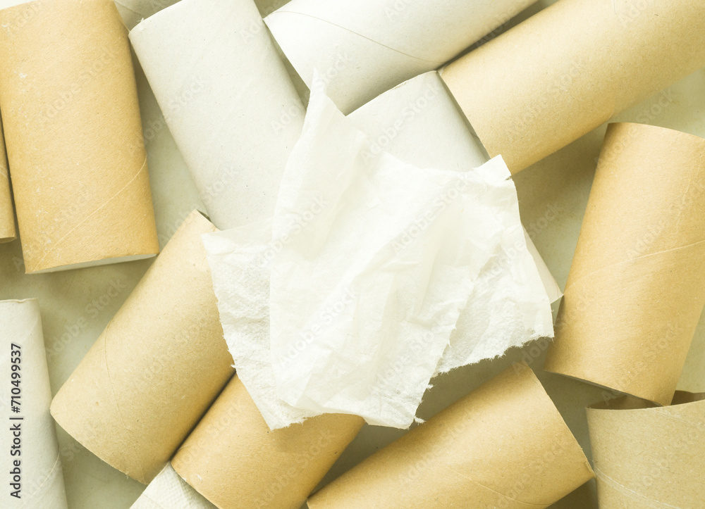 Two pieces of toilet paper on background of toilet paper empty rolls Two pieces of toilet paper on background of toilet paper empty rolls