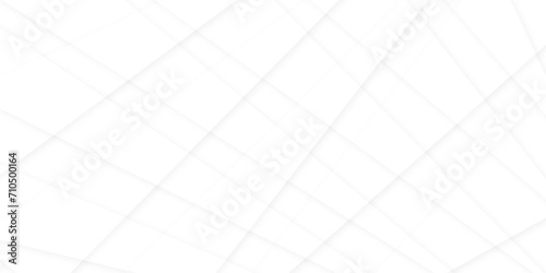 Abstract grey and white line geometric corporate design and white background. nervures de Feuillet mores, fond rectangle and geometric