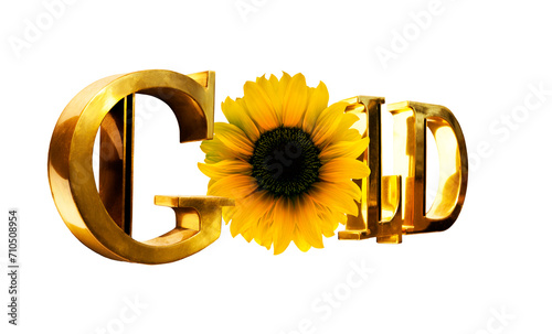 Das Wort Gold in Goldenen Buchstaben