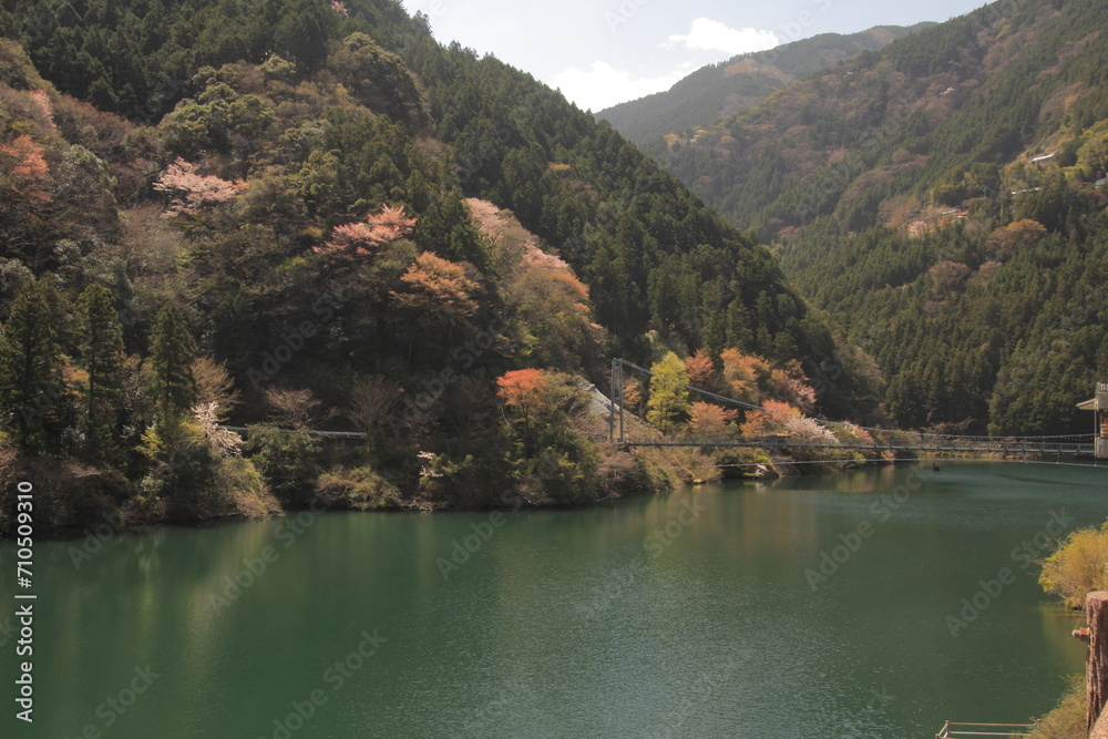 愛媛県久万高原町　ヒメシャラ休憩所から見た風景
