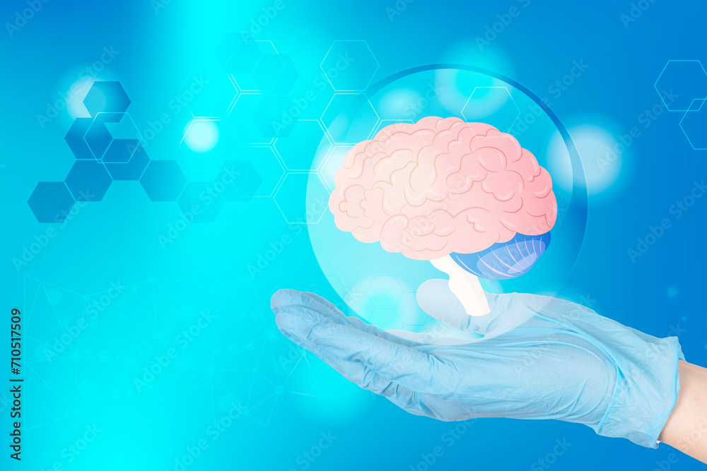 doctor's hand in a glove holds an anatomical shape of the human brain ...
