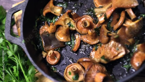 Lactarius deliciosus - the most sought-after edible mushrooms.