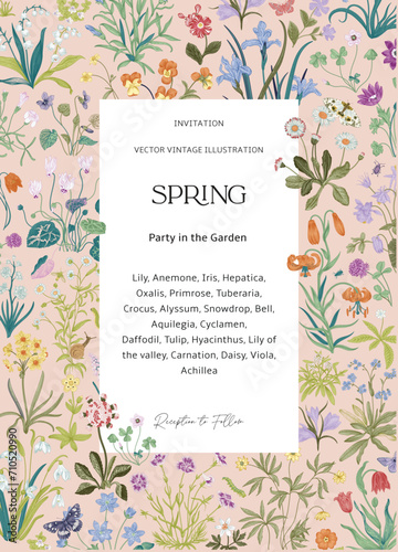 Spring. Invitation. Vintage vector botanical illustration.