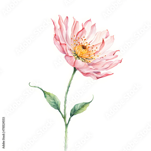 watercolor-illustration-of-a-flowerin-minimalist-styleno-background-watercolor-trending-on-artst