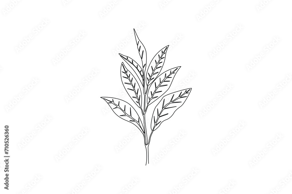 Continuous one line drawing of green trees of tea leaves. Eco natural symbol hand drawn minimalist concept. Modern single line draw design vector graphic illustration