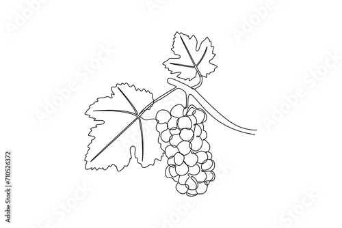 Continuous one line drawing of green trees of vineyard. Eco natural symbol hand drawn minimalist concept. Modern single line draw design vector graphic illustration