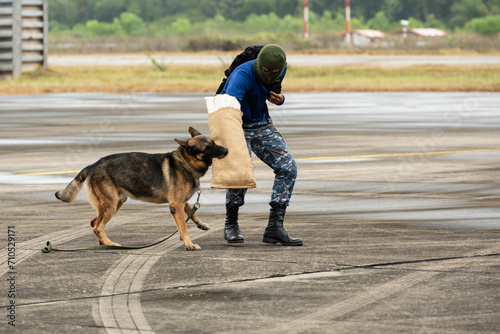 Smart police dog demonstrations to attack the enemy.K9 military dog unit.K-9 training service dogs for police.Soldier with his german shepherd dog.