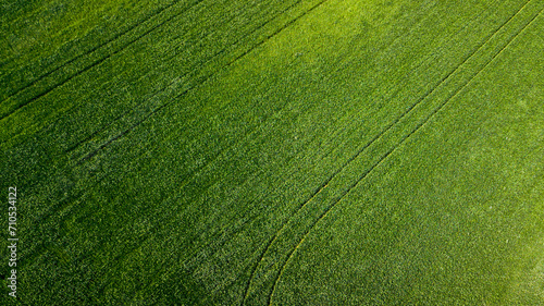 aerial view of farm land. drone shot.